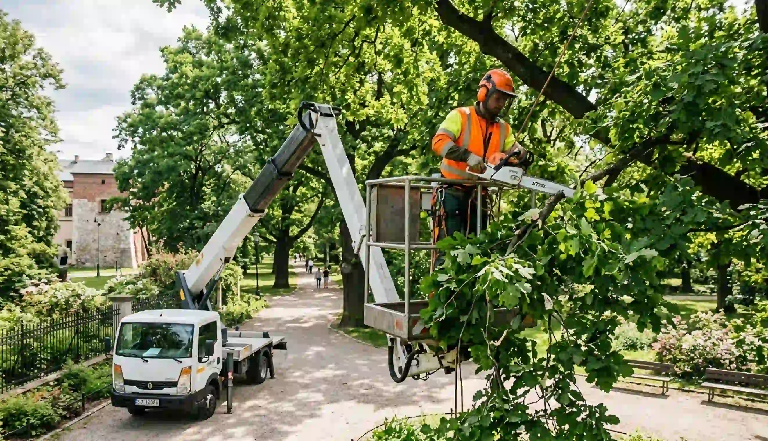Zieleń i drzewa